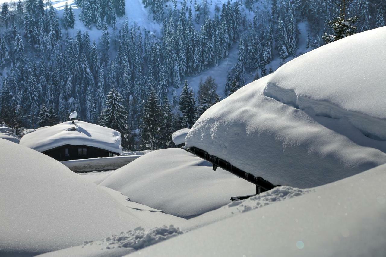Studio "Children Of Powdersnow" Mühlbach am Hochkönig 外观 照片